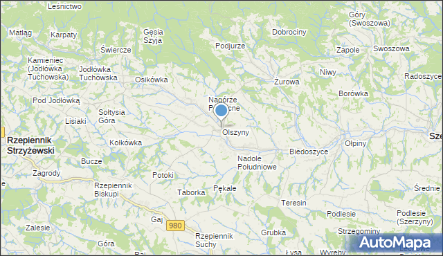 mapa Olszyny, Olszyny gmina Rzepiennik Strzyżewski na mapie Targeo